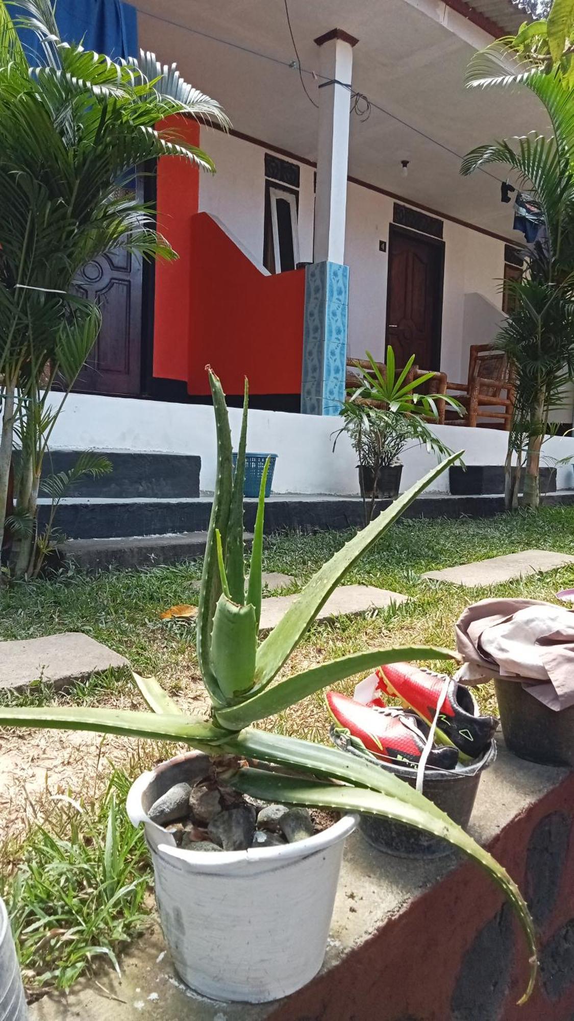 Roy Homestay Kuta Kuta  ภายนอก รูปภาพ